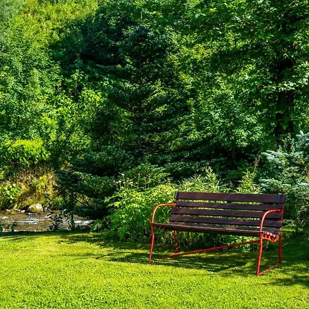 Capra - Adult Only Apartment Zakopane